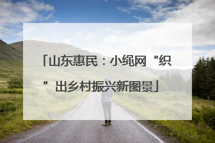山东惠民：小绳网“织”出乡村振兴新图景
