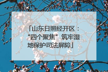 山东日照经开区：“四个聚焦”筑牢湿地保护司法屏障