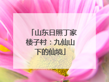 山东日照丁家楼子村：九仙山下的仙境