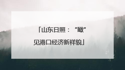 山东日照：“瞰”见港口经济新样貌