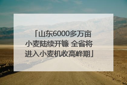 山东6000多万亩小麦陆续开镰 全省将进入小麦机收高峰期