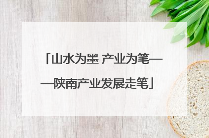 山水为墨 产业为笔——陕南产业发展走笔