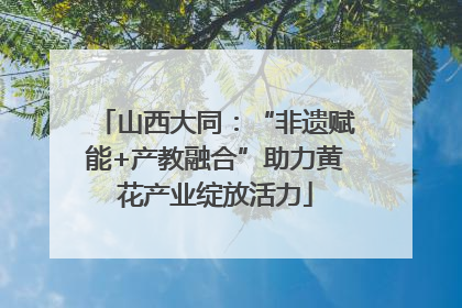 山西大同：“非遗赋能+产教融合”助力黄花产业绽放活力