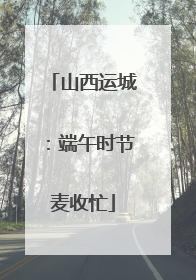 山西运城：端午时节麦收忙