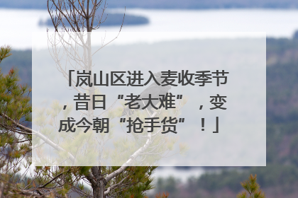 岚山区进入麦收季节，昔日“老大难”，变成今朝“抢手货”！