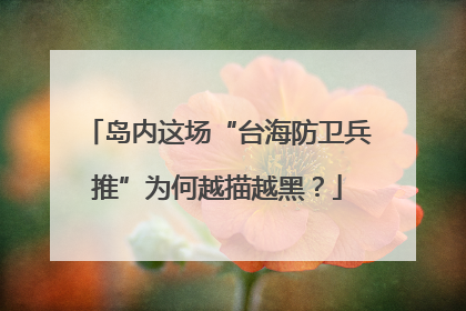 岛内这场“台海防卫兵推”为何越描越黑？