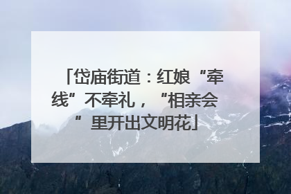 岱庙街道：红娘“牵线”不牵礼，“相亲会”里开出文明花