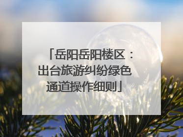 岳阳岳阳楼区：出台旅游纠纷绿色通道操作细则