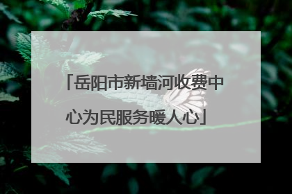 岳阳市新墙河收费中心为民服务暖人心