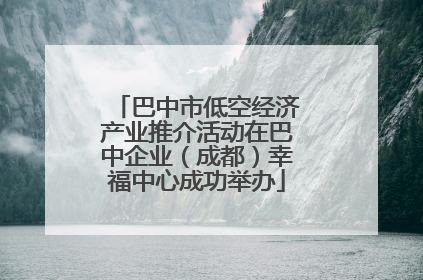 巴中市低空经济产业推介活动在巴中企业（成都）幸福中心成功举办