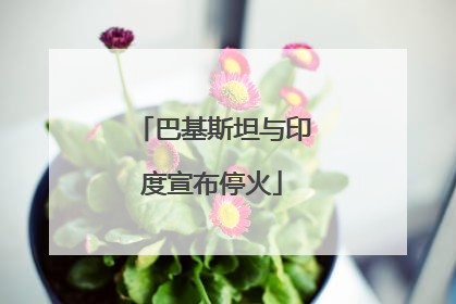 巴基斯坦与印度宣布停火