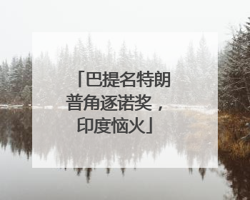 巴提名特朗普角逐诺奖，印度恼火