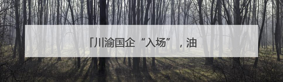 川渝国企“入场”，油气上游领域持续开放