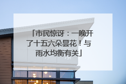市民惊讶：一晚开了十五六朵昙花！与雨水均衡有关