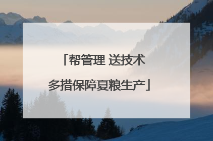 帮管理 送技术 多措保障夏粮生产