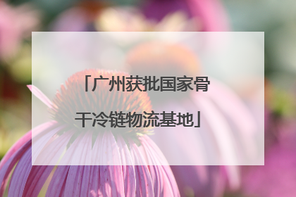 广州获批国家骨干冷链物流基地