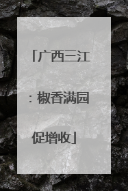 广西三江：椒香满园促增收