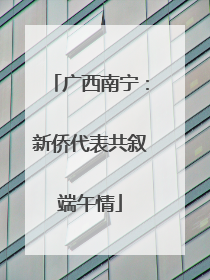 广西南宁：新侨代表共叙端午情