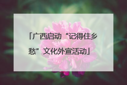 广西启动“记得住乡愁”文化外宣活动
