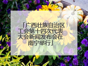 广西壮族自治区工会第十四次代表大会新闻发布会在南宁举行