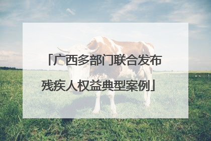 广西多部门联合发布残疾人权益典型案例