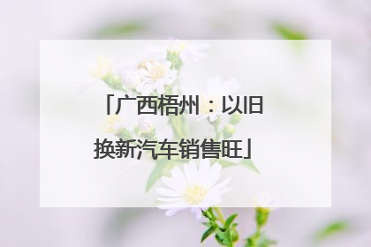 广西梧州：以旧换新汽车销售旺