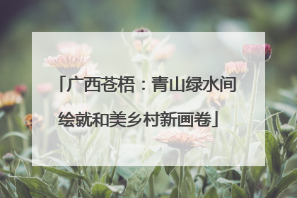 广西苍梧：青山绿水间绘就和美乡村新画卷