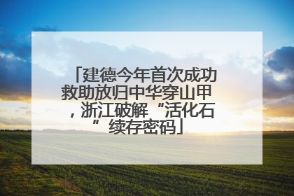 建德今年首次成功救助放归中华穿山甲，浙江破解“活化石”续存密码