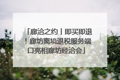 廊洽之约丨即买即退！廊坊离境退税服务端口亮相廊坊经洽会