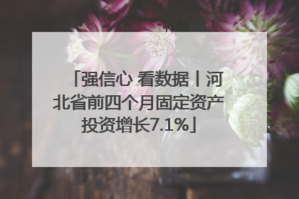 强信心 看数据丨河北省前四个月固定资产投资增长7.1%