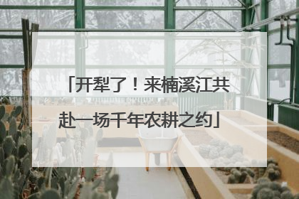 开犁了！来楠溪江共赴一场千年农耕之约