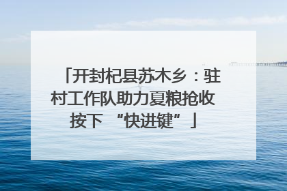 开封杞县苏木乡：驻村工作队助力夏粮抢收按下 “快进键”