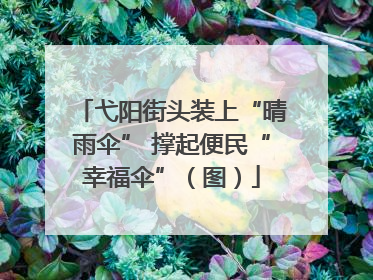 弋阳街头装上“晴雨伞” 撑起便民“幸福伞”（图）