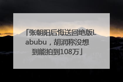张朝阳后悔送回绝版Labubu，胡润称没想到能拍到108万