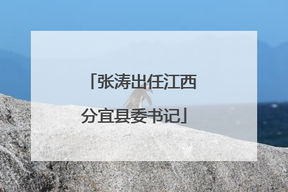 张涛出任江西分宜县委书记
