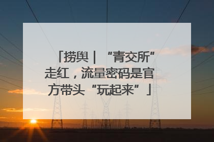 捞舆｜“青交所”走红，流量密码是官方带头“玩起来”