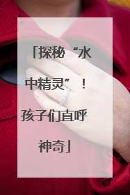 探秘“水中精灵”！孩子们直呼神奇