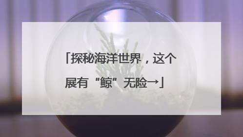 探秘海洋世界，这个展有“鲸”无险→