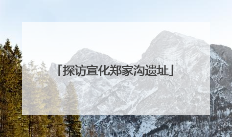 探访宣化郑家沟遗址