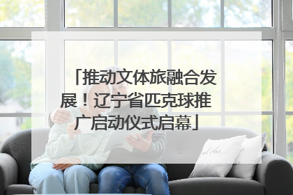 推动文体旅融合发展！辽宁省匹克球推广启动仪式启幕