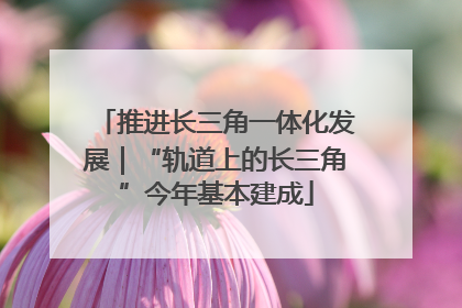推进长三角一体化发展｜“轨道上的长三角”今年基本建成