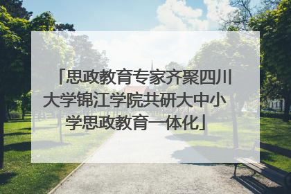 思政教育专家齐聚四川大学锦江学院共研大中小学思政教育一体化