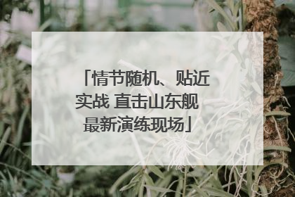 情节随机、贴近实战 直击山东舰最新演练现场
