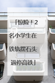 惊险！2名小学生在铁轨摆石头逼停高铁