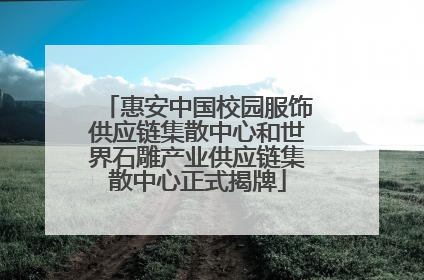 惠安中国校园服饰供应链集散中心和世界石雕产业供应链集散中心正式揭牌