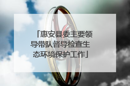 惠安县委主要领导带队督导检查生态环境保护工作