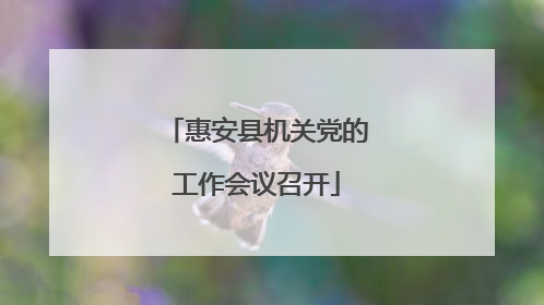惠安县机关党的工作会议召开