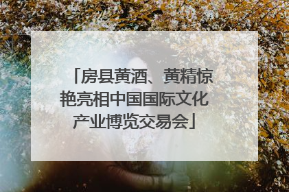 房县黄酒、黄精惊艳亮相中国国际文化产业博览交易会