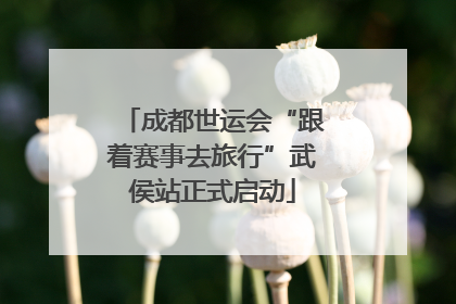 成都世运会“跟着赛事去旅行”武侯站正式启动