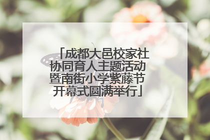 成都大邑校家社协同育人主题活动暨南街小学紫藤节开幕式圆满举行